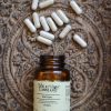 Iron Lion supplement